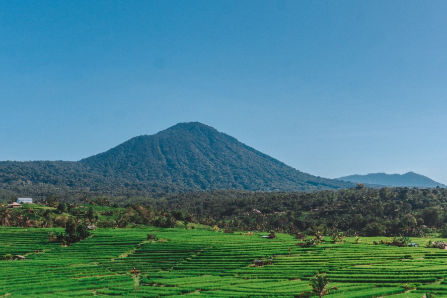 Gunung Batukaru in Bali